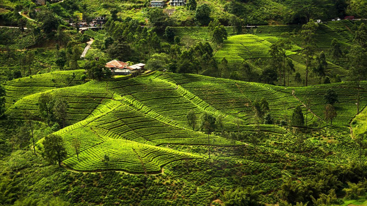 Kirula Green Hotel Nuwara Eliya Esterno foto