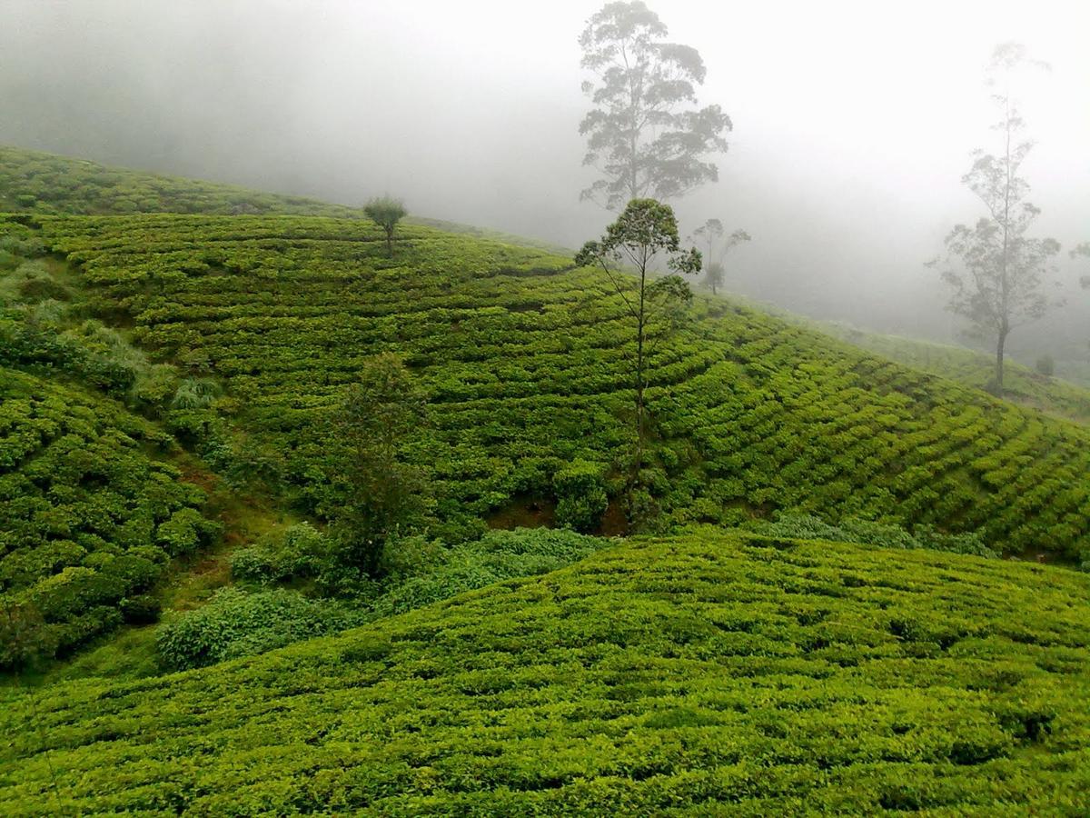 Kirula Green Hotel Nuwara Eliya Esterno foto